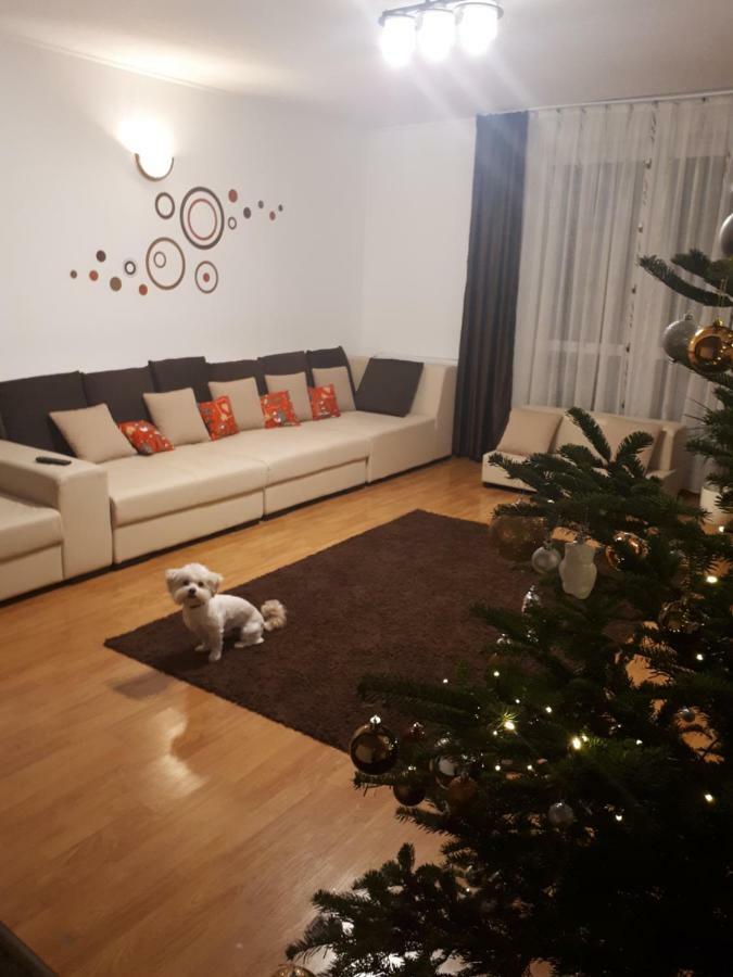 בראשוב Casa Mais מראה חיצוני תמונה